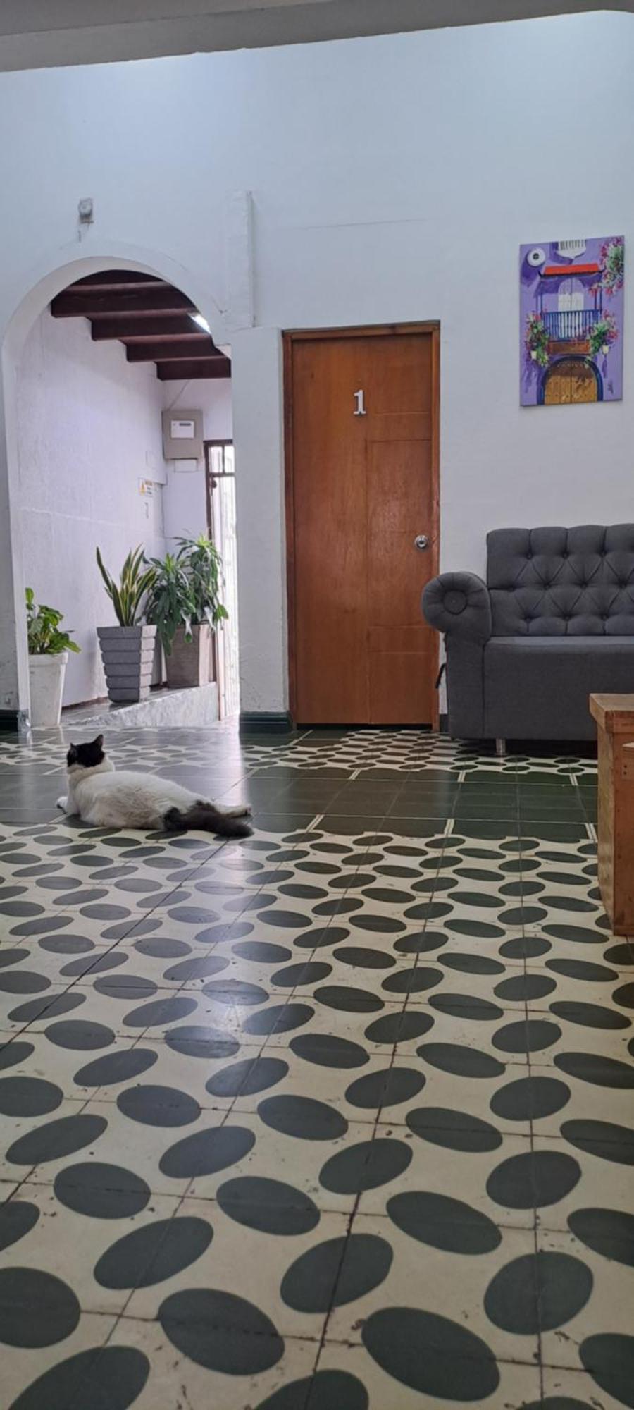 Hostal Casa Lara Cartagena Exterior photo